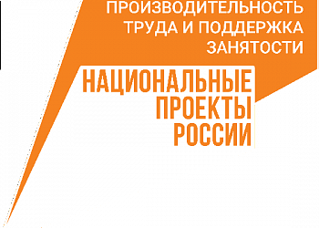 Ход реализации национального проекта «Производительность труда»