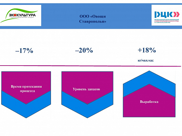 овощи ставрополья