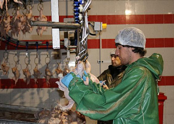 Предприятия Ставрополья наращивают производительность