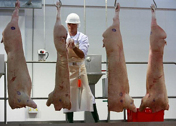 Для ставропольских производителей пищевых продуктов открыты новые виды государственной поддержки.