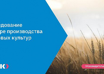Исследование в сфере производства зерновых культур.