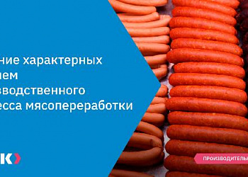 Решение характерных проблем производственного процесса мясопереработки